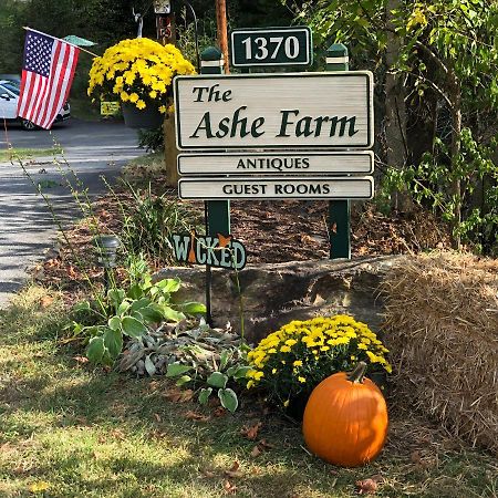 Bed and Breakfast The Ashe Farm Marshall Exteriér fotografie