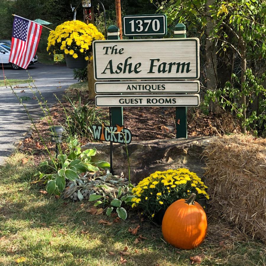 Bed and Breakfast The Ashe Farm Marshall Exteriér fotografie